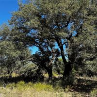 Back on Market 74 - Acres Brown County images 5