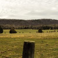548 Acres with a Home in Rhea County TN images 2