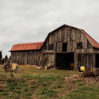 548 Acres with a Home in Rhea County TN images 4