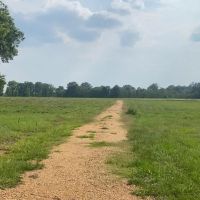34.9 Acres Lincoln County MS Pasture Property For Sale images 2