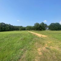 34.9 Acres Lincoln County MS Pasture Property For Sale images 3