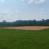 34.9 Acres Lincoln County MS Pasture Property For Sale images 4