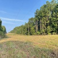 38 Acres Hunting Timberland for Sale Huttig AR