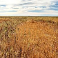 Crum Farm For Sale Property