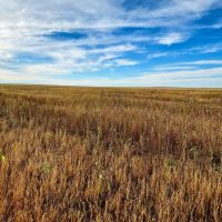 Crum Farm For Sale Property images 2
