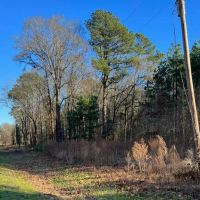 40 Acres Land for Sale Quitman LA