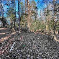 40 Acres Land for Sale Quitman LA images 5