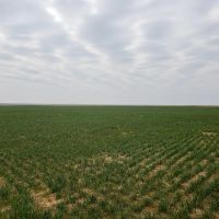 6332 Acre Fry Farm Oklahoma - Price Reduced images 2