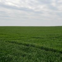 6332 Acre Fry Farm Oklahoma - Price Reduced images 5