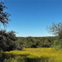 Back On Market 62 - Acres Brown County images 3