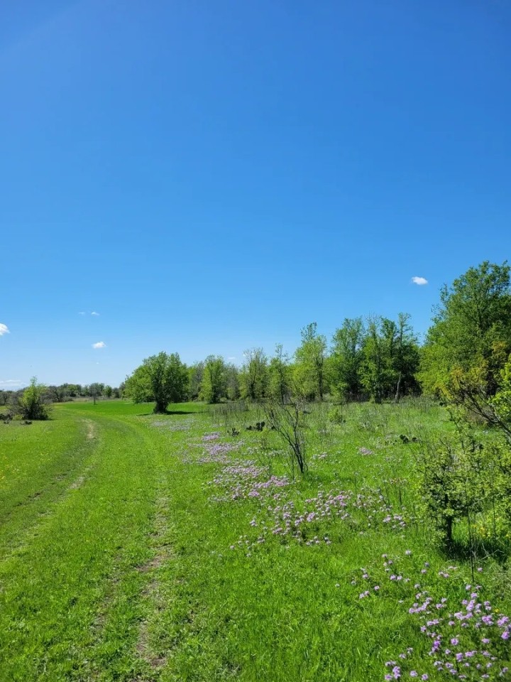 85 - Acres Brown Co. featured image