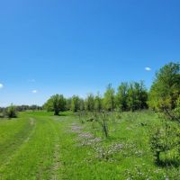 85 - Acres Brown Co.