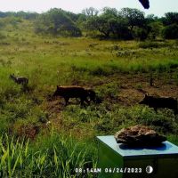 85 - Acres Brown Co. images 3
