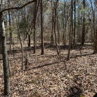 3.17 -AC Dawson Springs images 3