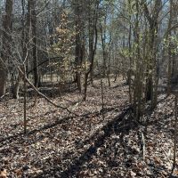 3.17 -AC Dawson Springs images 4