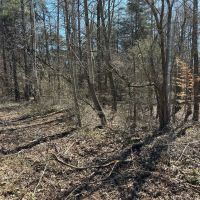 3.17 -AC Dawson Springs images 5
