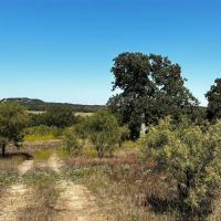 Back on Market 23 - Acres Brown County images 3