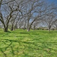 1058 CR 244 Weimar TX images 2