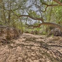 1058 CR 244 Weimar TX images 3