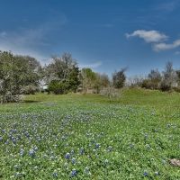 1058 CR 244 Weimar TX images 4
