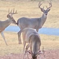 Back on Market 86.6 - Acres Home Brown County images 4