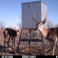 Price Reduction 78 - Acres Jones County West images 1