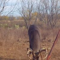 Price Reduction 78 - Acres Jones County West images 4