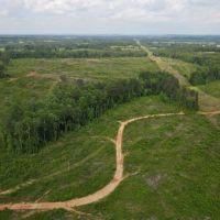 Sold 211 - acres Lineville AL