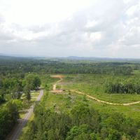 Sold 211 - acres Lineville AL images 2