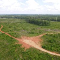 Sold 211 - acres Lineville AL images 3