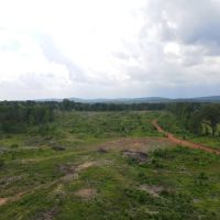 Sold 211 - acres Lineville AL images 4