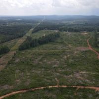Sold 211 - acres Lineville AL images 5