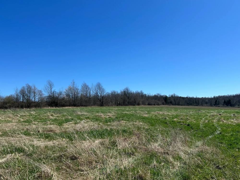 11 acre Building Lot and Recreational Land with Creek in Caneadea NY 6163 Shongo Valley Road featured image