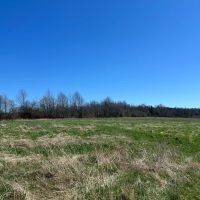 11 acre Building Lot and Recreational Land with Creek in Caneadea NY 6163 Shongo Valley Road