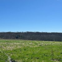 11 acre Building Lot and Recreational Land with Creek in Caneadea NY 6163 Shongo Valley Road images 2