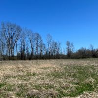 11 acre Building Lot and Recreational Land with Creek in Caneadea NY 6163 Shongo Valley Road images 3