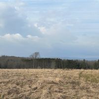 11 acre Building Lot and Recreational Land with Creek in Caneadea NY 6163 Shongo Valley Road images 4