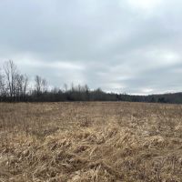 11 acre Building Lot and Recreational Land with Creek in Caneadea NY 6163 Shongo Valley Road images 5