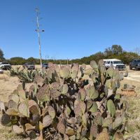 2254 E Hwy 29 images 5