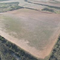 17 - Acres Jones County Tract 8 images 3