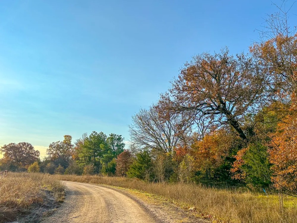 699 Acres CR 4640 Tract 1002 featured image