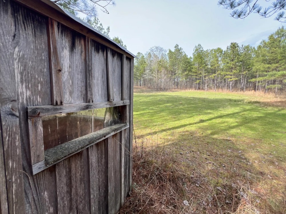 44 - Ac Goodwater Coosa Co AL featured image