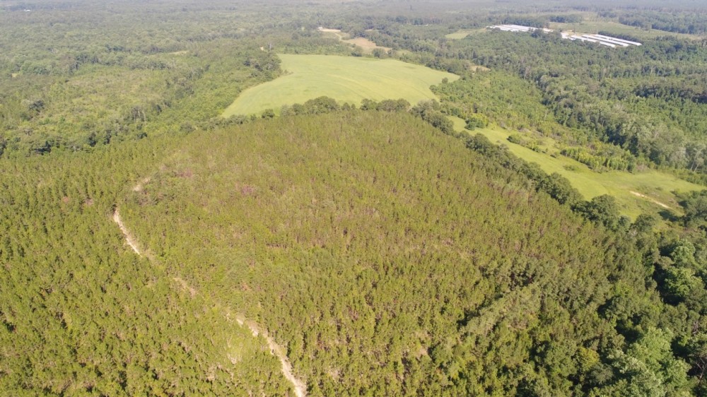 161 - acres Crenshaw Co featured image