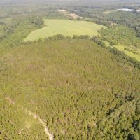 161 - acres Crenshaw Co