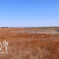 Roger Mills County Oklahoma Land for Sale images 3
