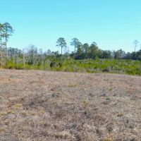 9.5 Acres of Rural Land for Sale in Pike County MS images 2