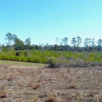9.5 Acres of Rural Land for Sale in Pike County MS images 3