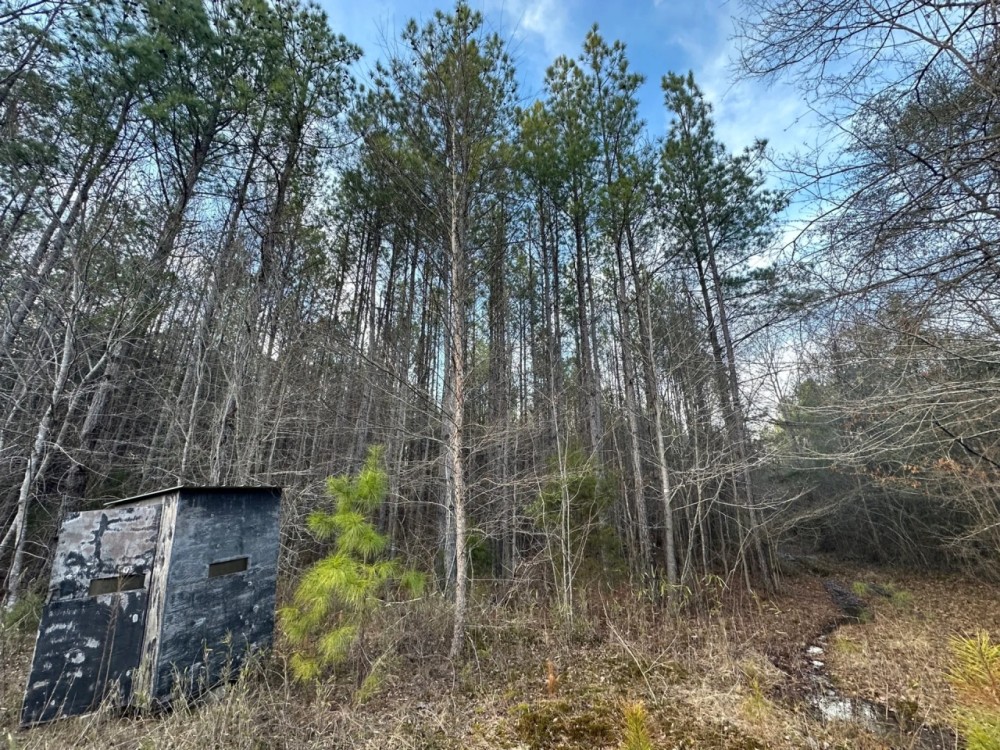 105 acres Dallas County AL featured image