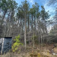 105 acres Dallas County AL