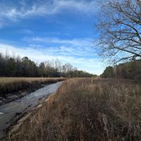 105 acres Dallas County AL images 4